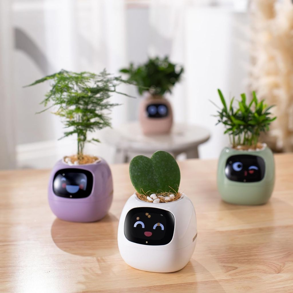 SmartPot Ivy