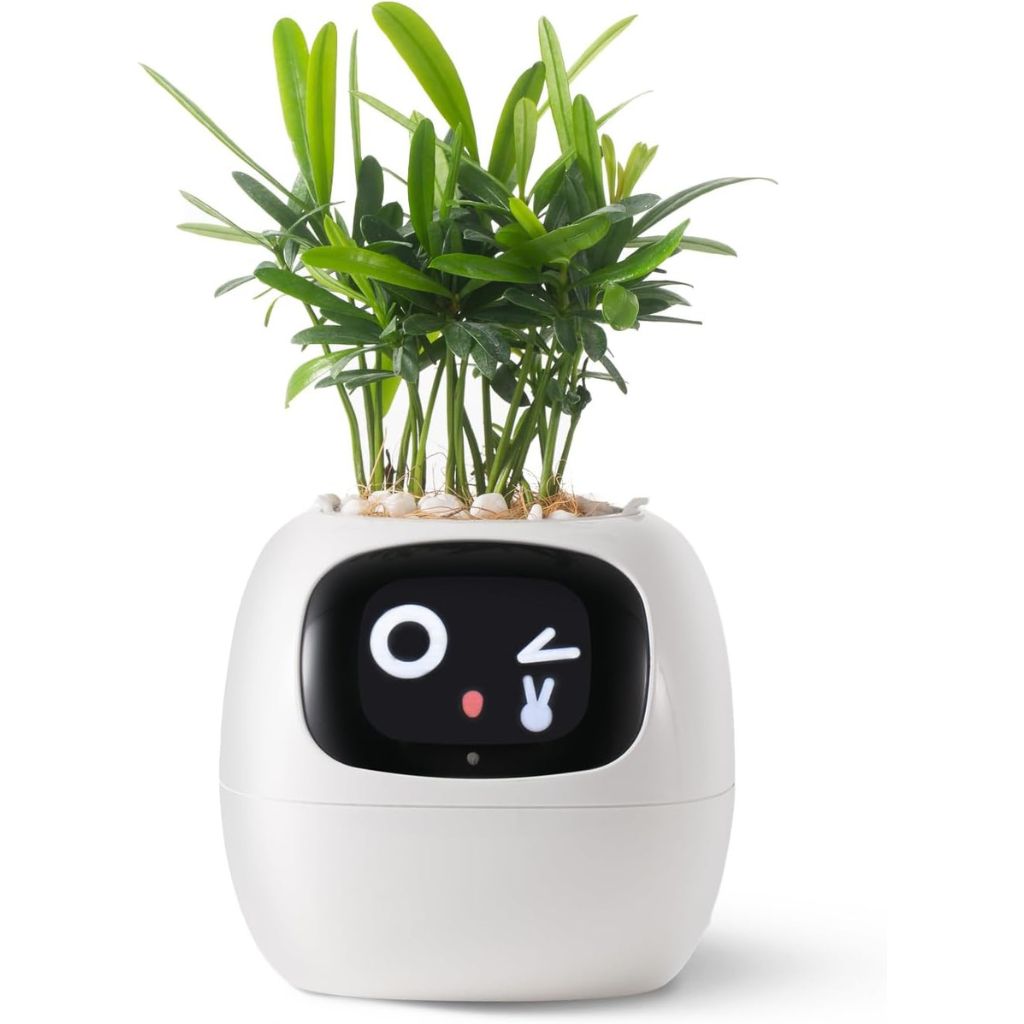 SmartPot Ivy