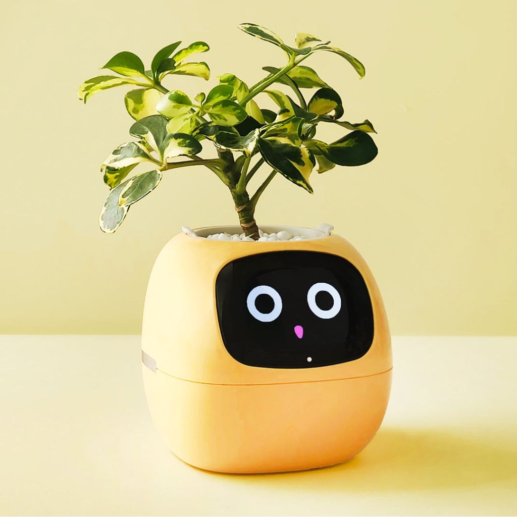 Ivy Smart Plant Pot